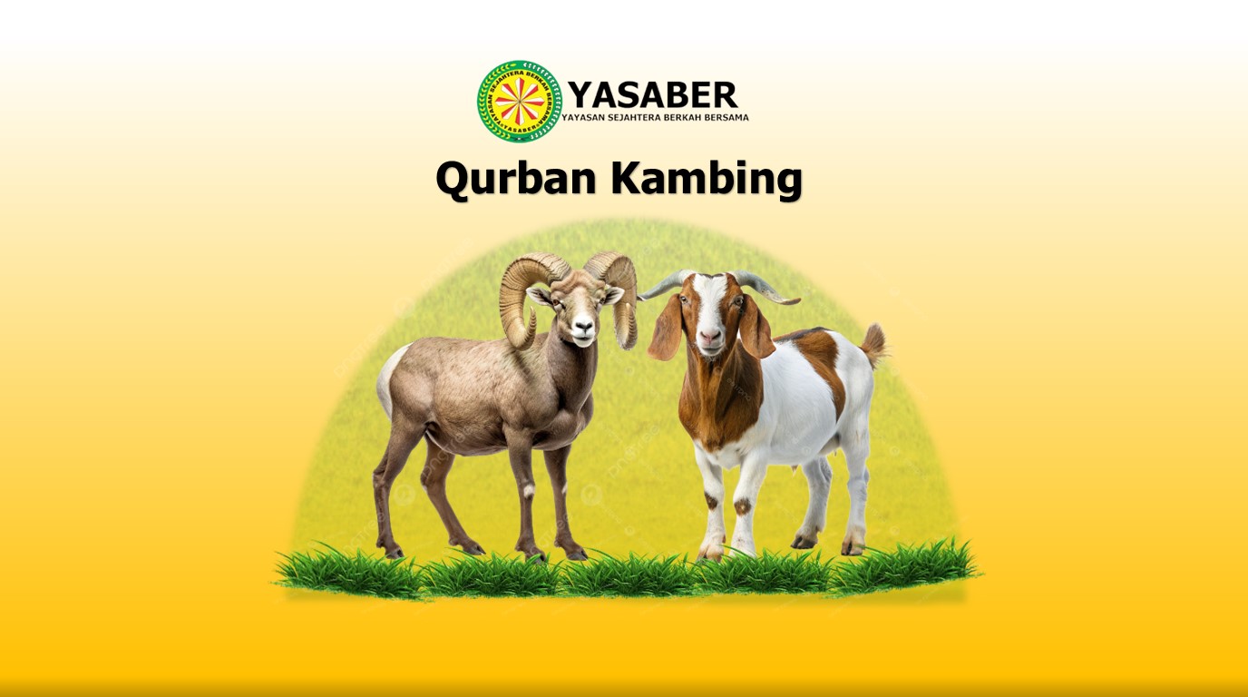 qurban kambing
